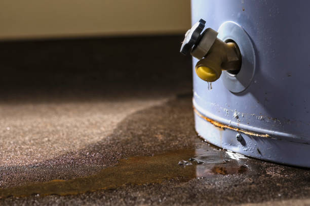 Best 24/7 water damage repair  in Griswold, IA