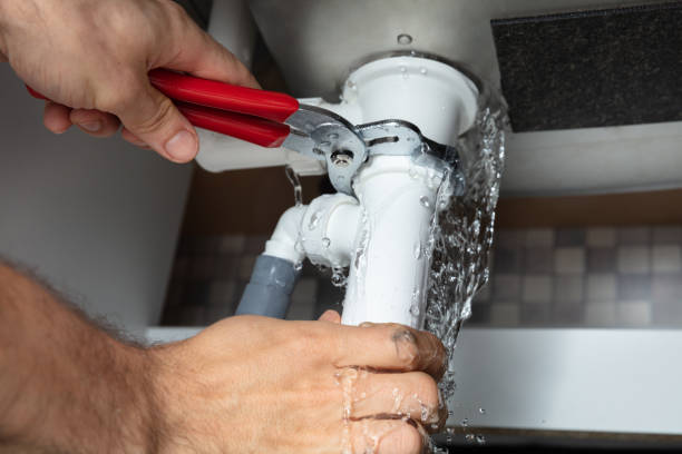Best Flooded house restoration  in Griswold, IA