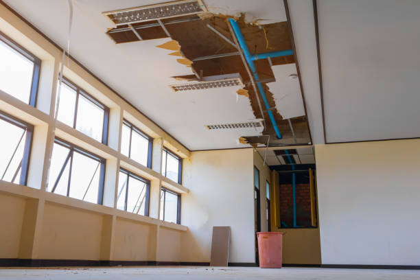 Best Mold removal after water damage  in Griswold, IA