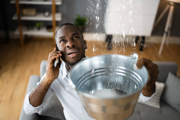 Best Water damage restoration process  in Griswold, IA