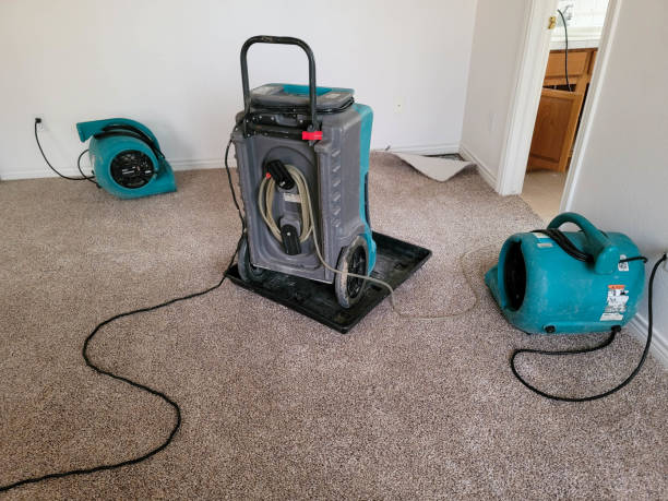 Best Flooded house restoration  in Griswold, IA