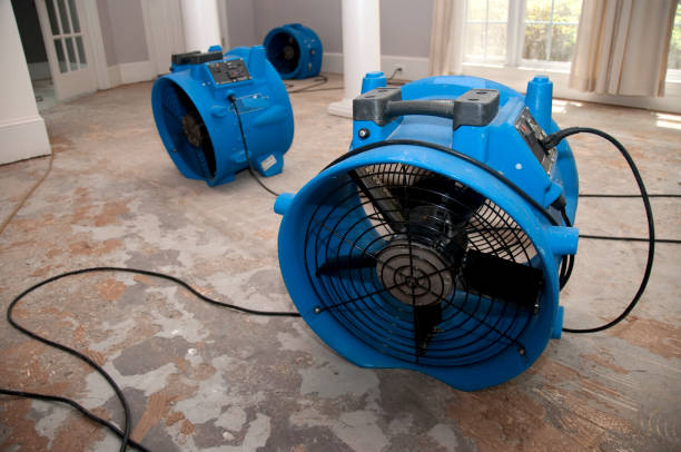 Best Ceiling water damage repair  in Griswold, IA