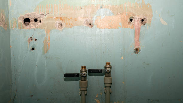 Best Ceiling water damage repair  in Griswold, IA