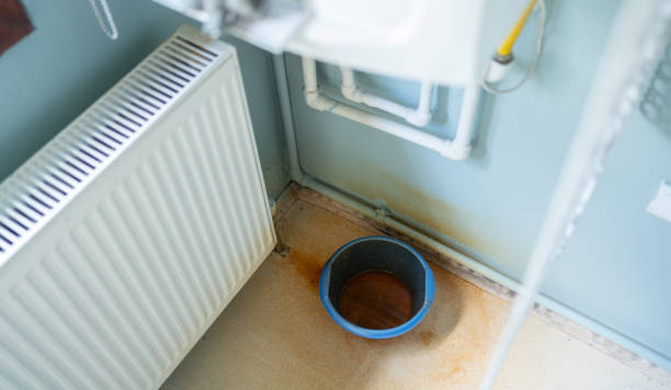 Best Ceiling water damage repair  in Griswold, IA