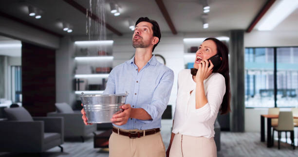  Griswold, IA Water damage restoration Pros