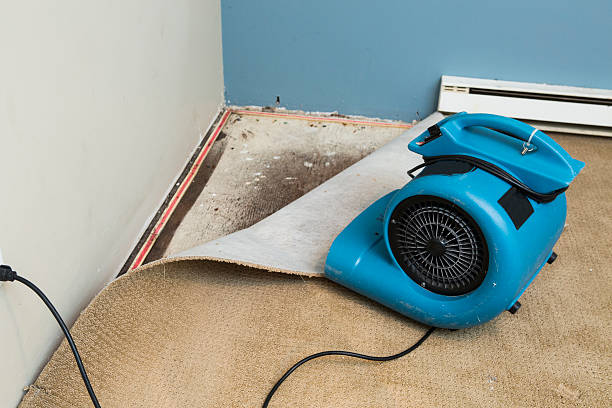 Best Commercial water damage restoration  in Griswold, IA